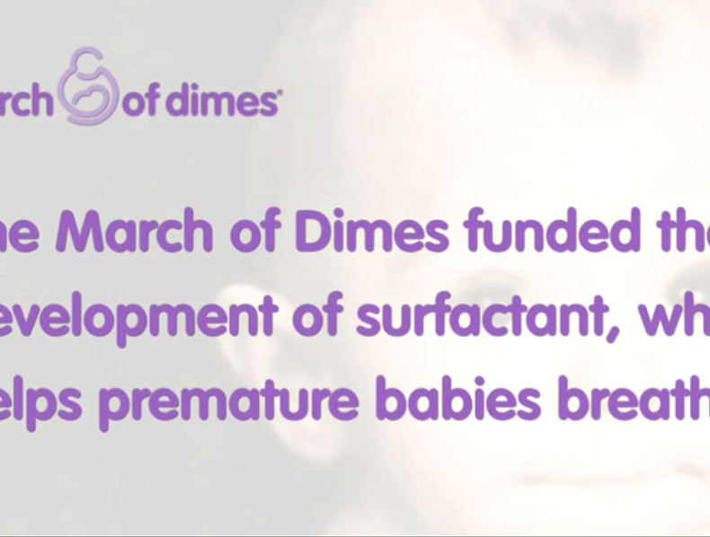 Signature Chefs 2012 - March of Dimes