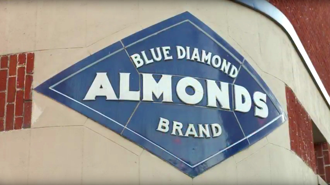Content Marketing - Blue Diamond Almonds